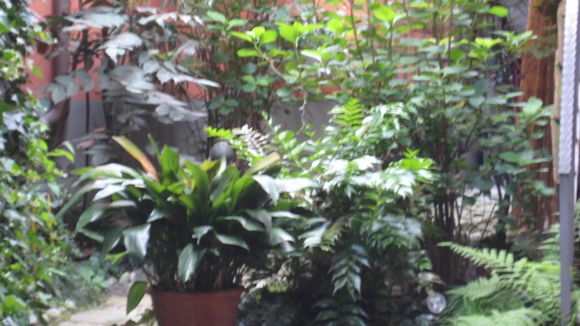 Relais Ai Campi Apartment Bellagio Italy